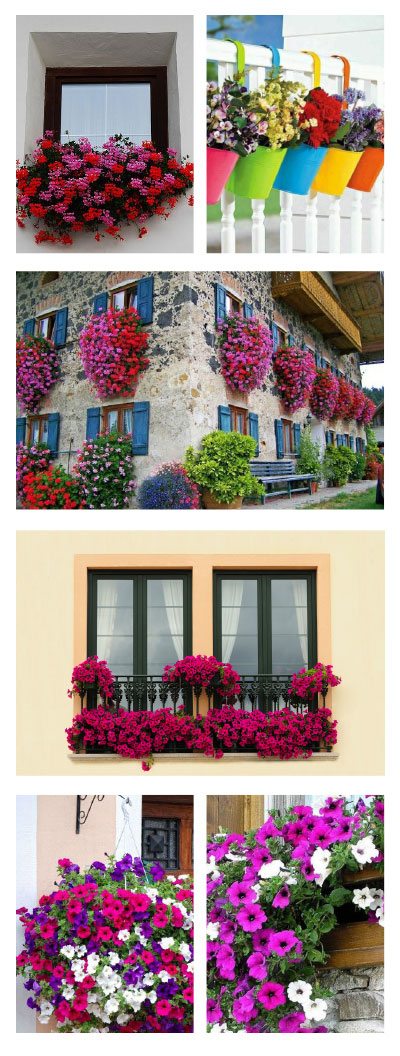balcon-primavera