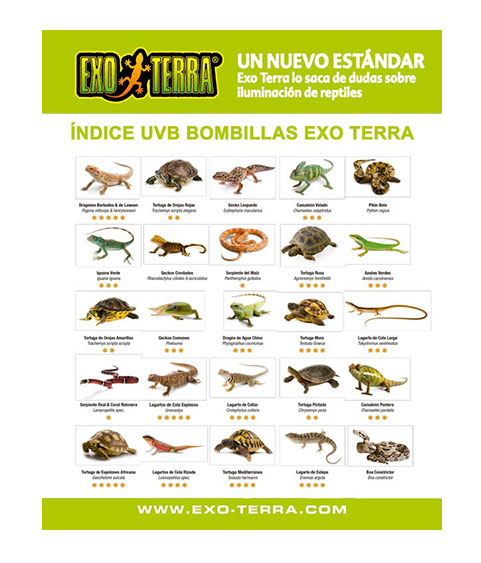 exo-terra