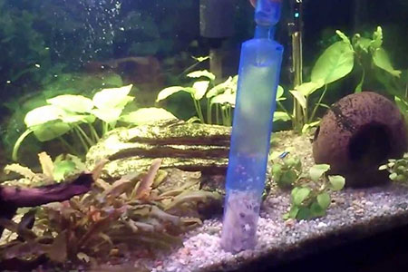 higiene-acuario higiene-acuario