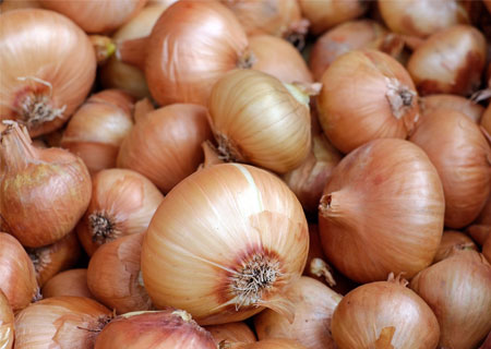 cebolla