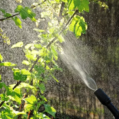 endanea-fitosanitarios-6-1