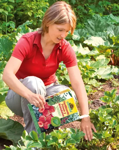 endanea-tierras-abonos-6