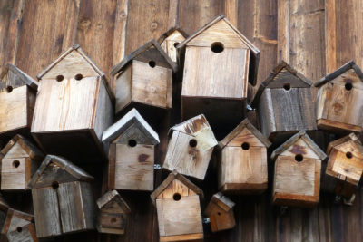 endanea-aves-accesorios-4