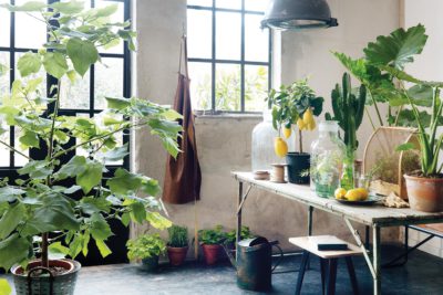 endanea-decoracion-mobiliario-4