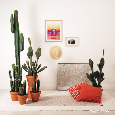 endanea-decoracion-plantas-artificiales-12