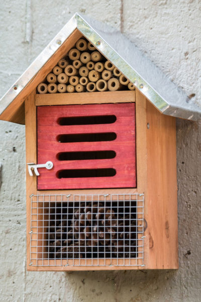 endanea-fitosanitarios-8