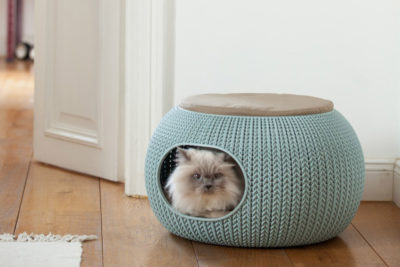 endanea-gatos-accesorios-1