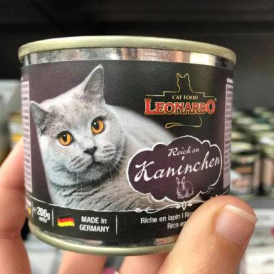endanea-gatos-alimentacion-11