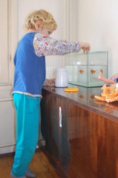 endanea-peces-alimentacion-2