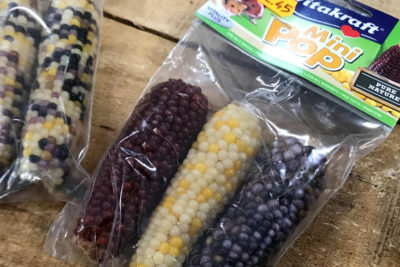 endanea-roedores-alimentacion-10