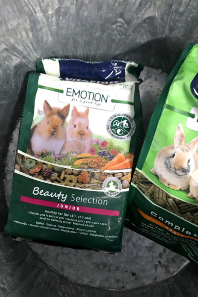 endanea-roedores-alimentacion-9