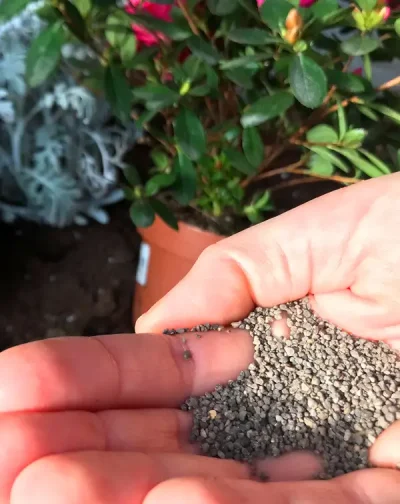 endanea-tierras-abonos-11