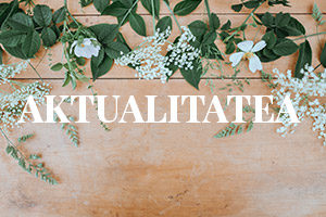 Aktualitatea