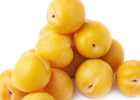 ciruelo-sungold