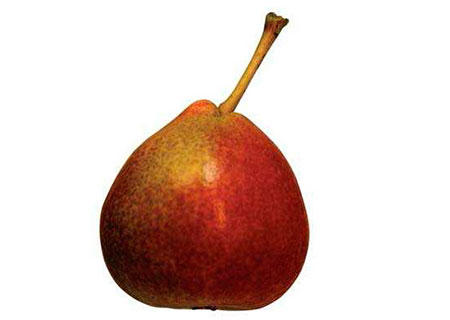 peral-magallon