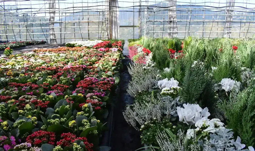todos-los-santos-2019-endanea-garden-5