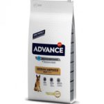 Affinity Advance german shephers adult