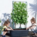 Green-Basics-Veggie-Wall-Elho-80cm-02