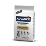 Affinity Advance French Bulldog
