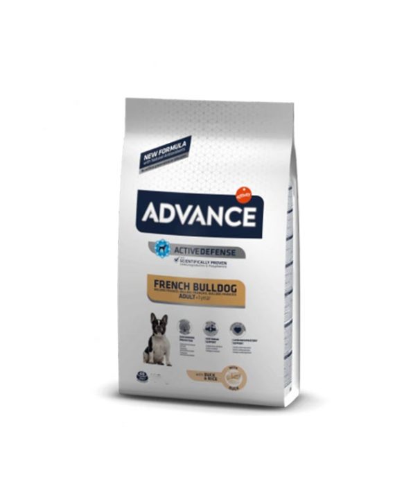 Affinity Advance French Bulldog