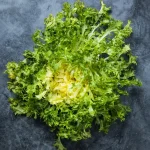 Escarola Rizada Planta