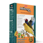 melange-fruit