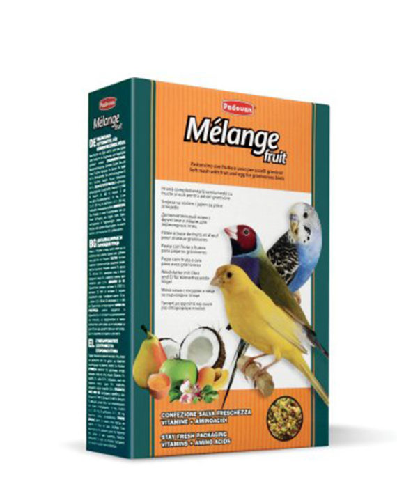 melange-fruit