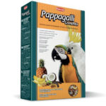padovan-pappagalli