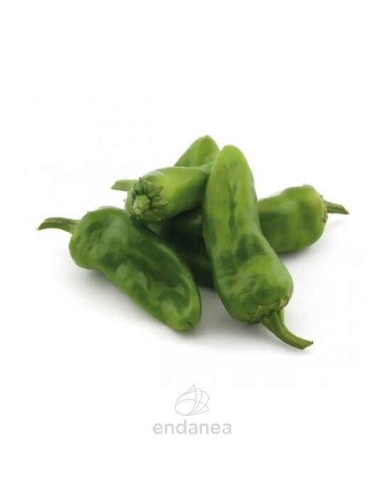 pimiento-guernica