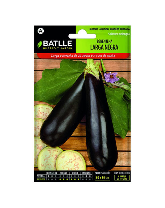 semillas-berenjena-larga-negra
