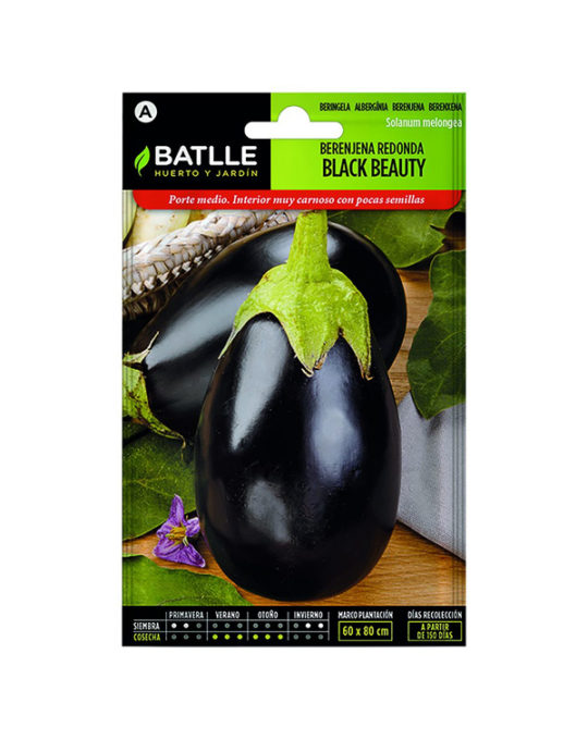 semillas-berenjena-redonda-negra-black-beauty