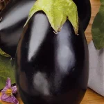 Semillas Berenjena Redonda Negra Black Beauty