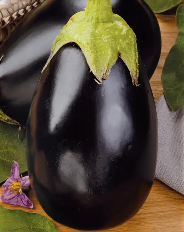 semillas-berenjena-redonda-negra-black-beauty-frutos