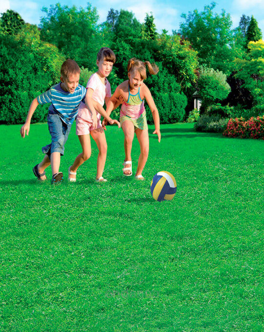 semillas-cesped-rustico-y-decorativo-batlle-jardin