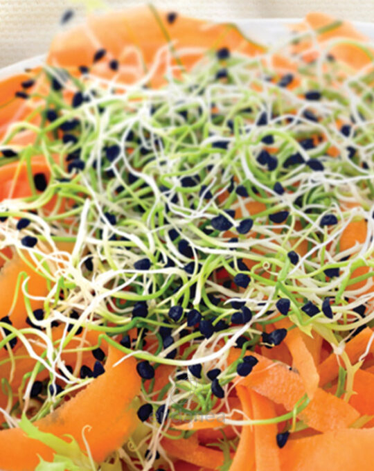 semillas-de-brotes-ecologicos-ajo-chino-batlle