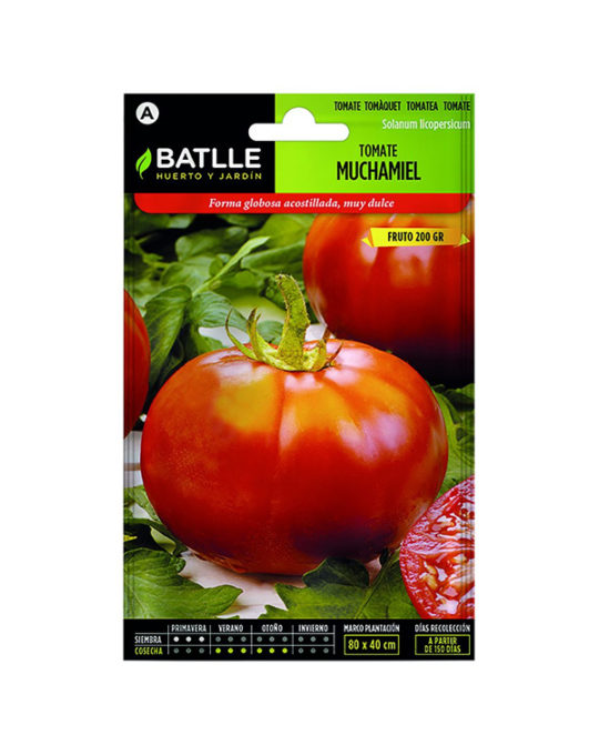 semillas-tomate-muchamiel
