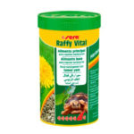 sera-raffy-vital