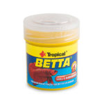 tropical-betta