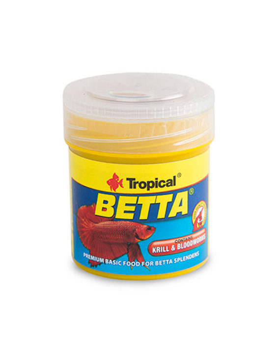 tropical-betta
