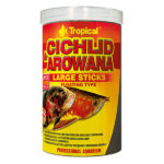 tropical-cichlid-arowana