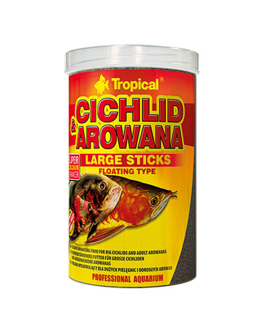 tropical-cichlid-arowana