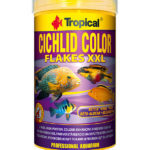tropical-cichlid-color-xxl