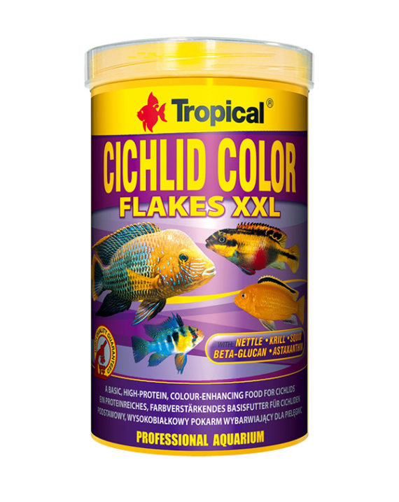tropical-cichlid-color-xxl