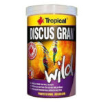 tropical-discus-gran-wild