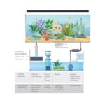 Acuario-marino-con-Sump-AQUA-OCEAN-100-3