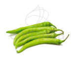 Guindilla Vasca Plantas Hortícolas Fruto
