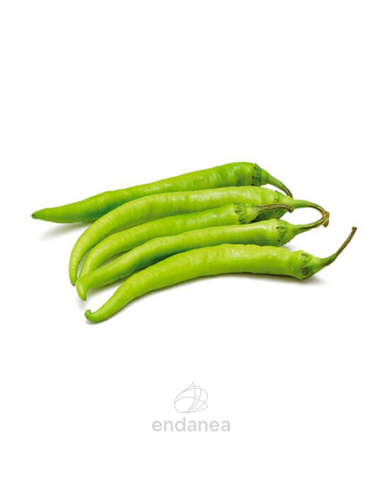 guindilla-vasca-plantas-horticolas-fruto