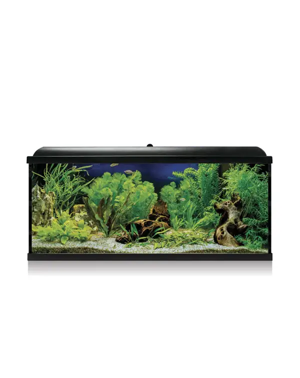 kit-aqua-led-pro-130-negro-con-filtro-interior