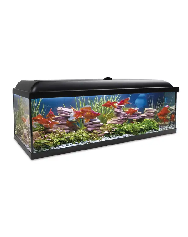 kit-aqua-led-pro-300-con-filtro-exterior-lateral