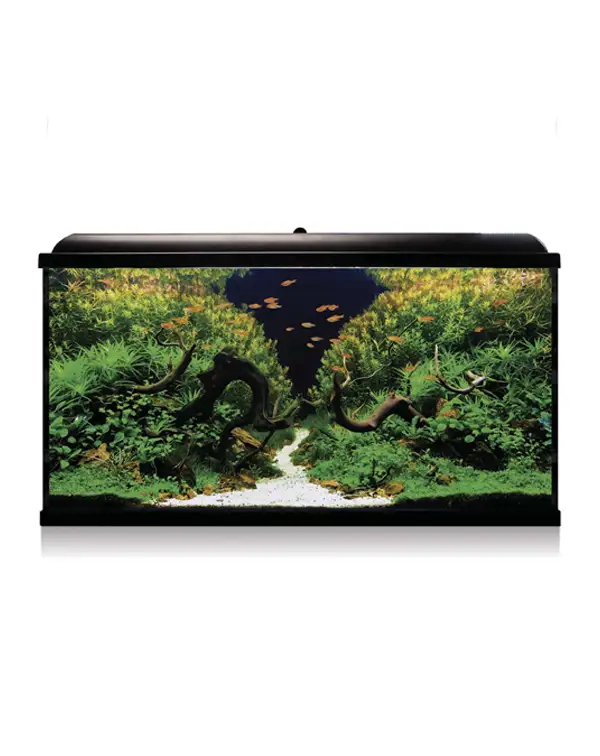 kit-aqua-led-pro-300-con-filtro-exterior